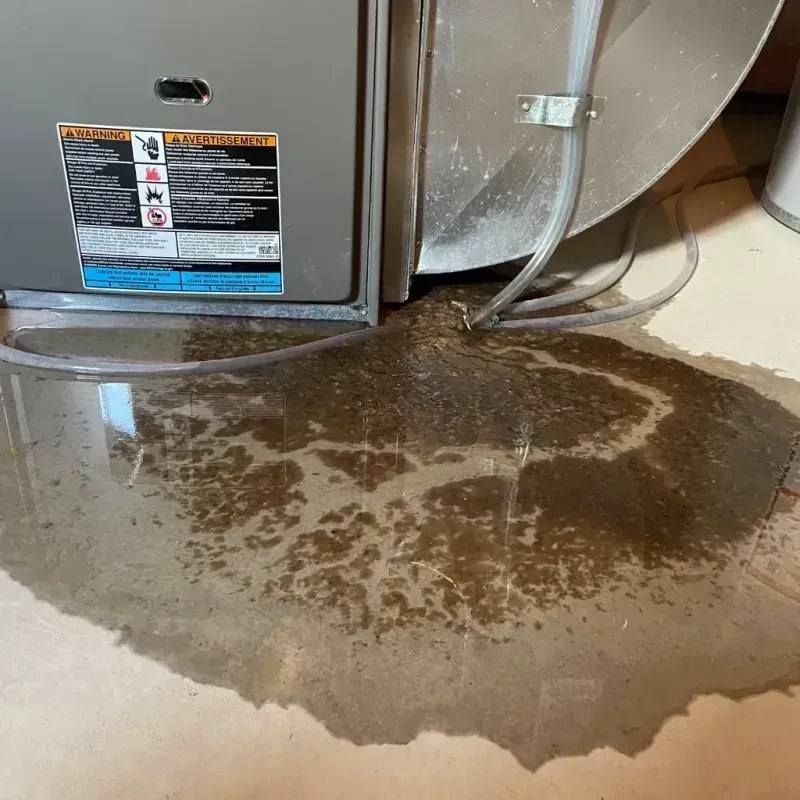 Appliance Leak Cleanup in Sweetwater, TX